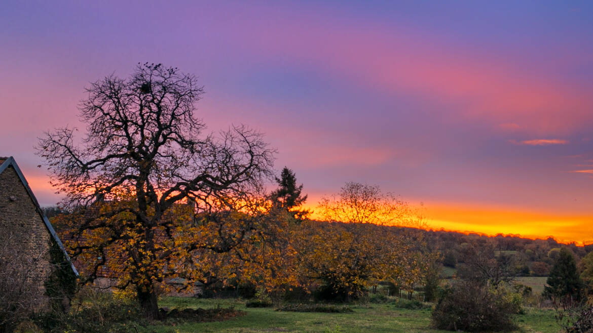 Lever dans l'allier