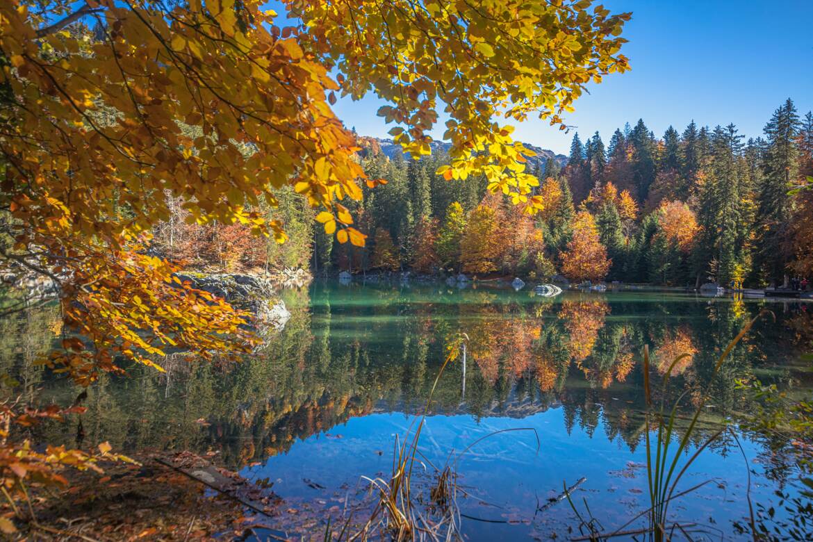 Lac vert à Passy