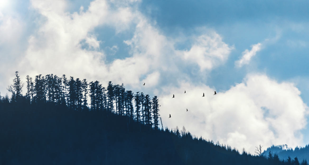 Entre ciel et montagnes...