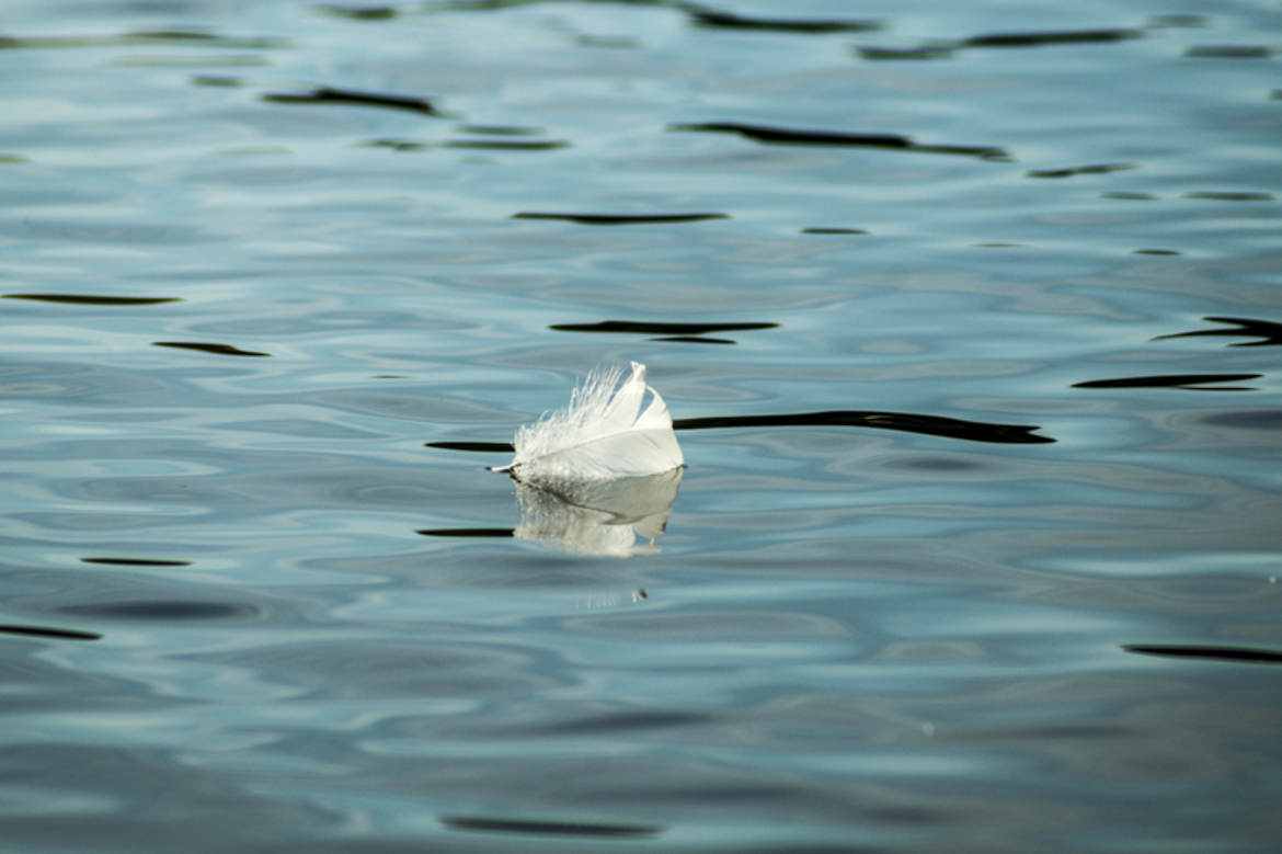 seule sur l'eau