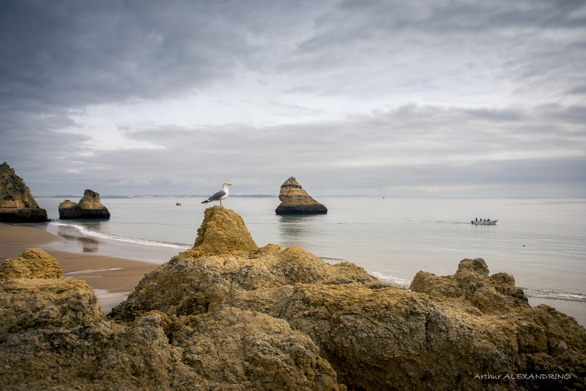 Plage Dona Ana - Lagos - Portugal