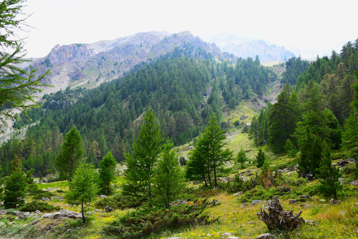 Sur la route du lac d'Orceyrette