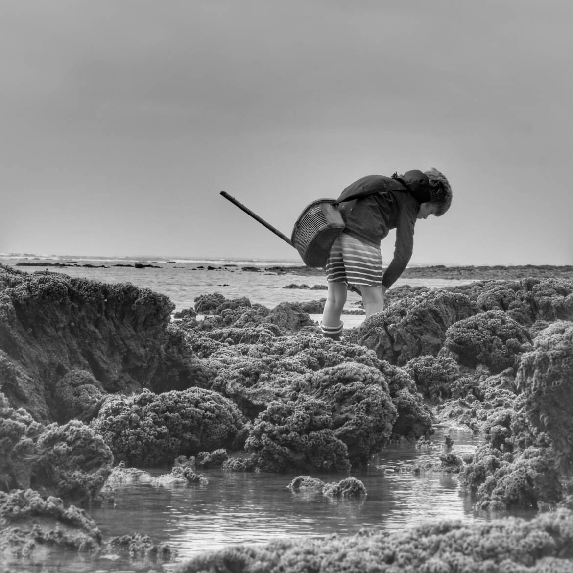 Partie de pêche