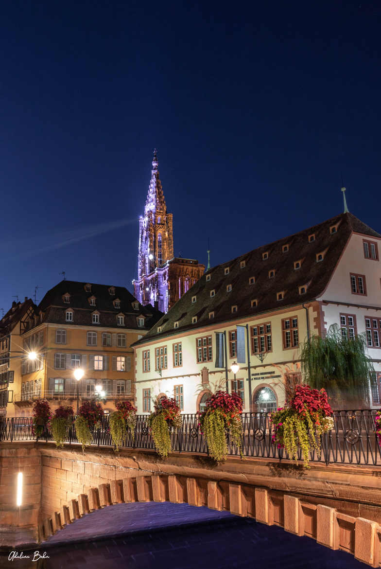 Strasbourg et sa cathédrale