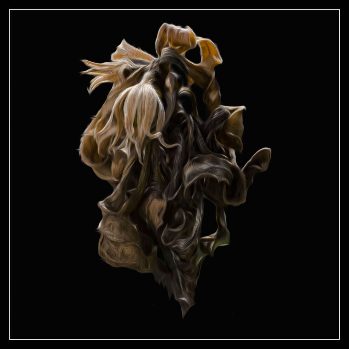 Petite folie du soir!!!