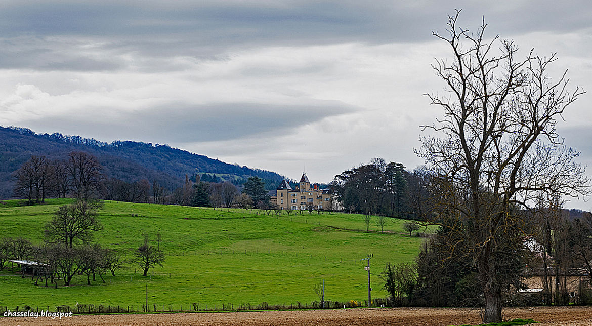 Château de Machy