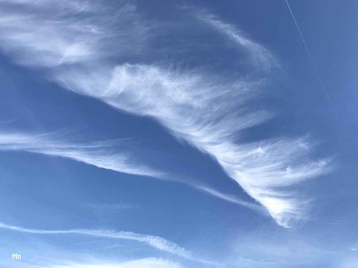 Cheveux d'anges