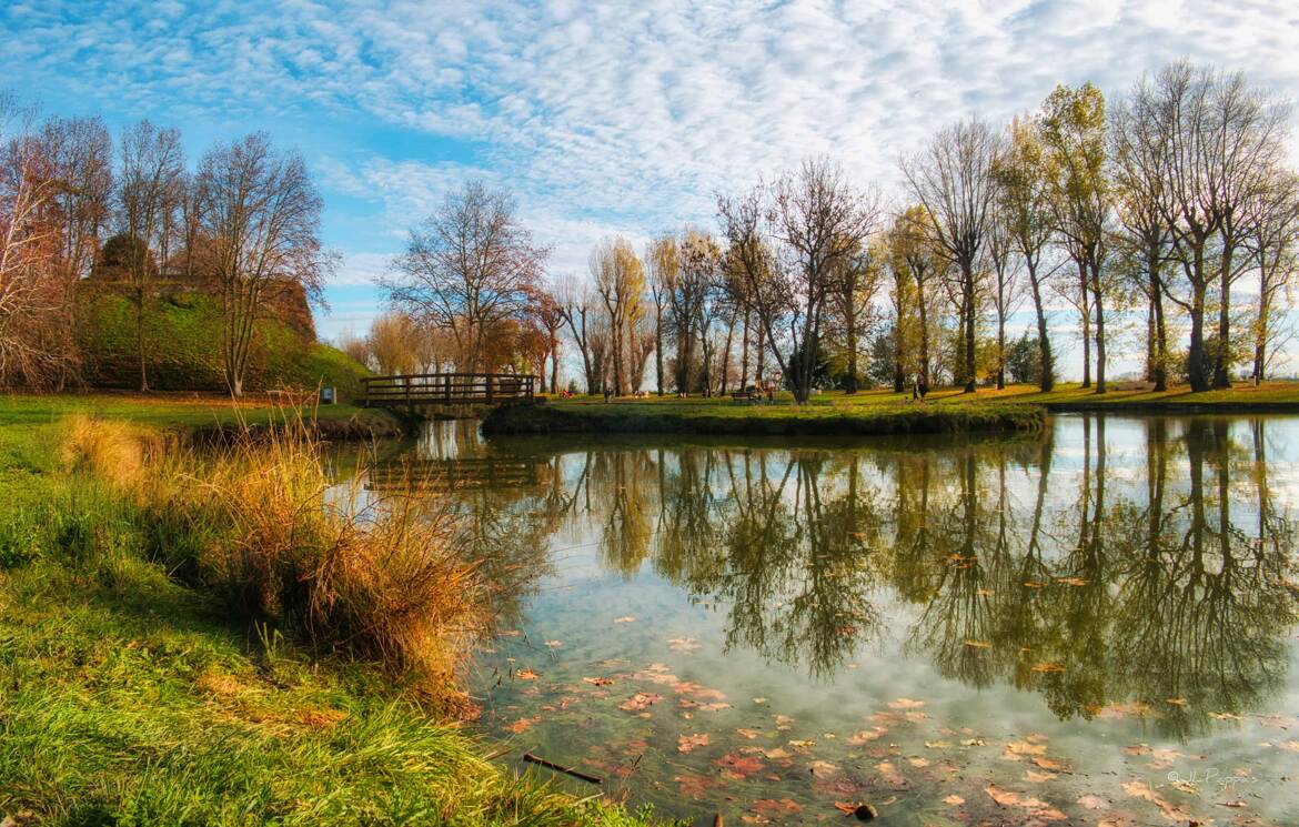 Lumières automnale !