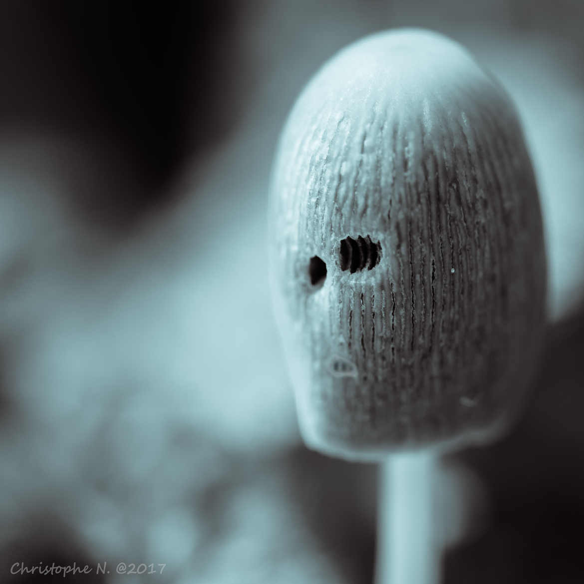 Mister Mushroom