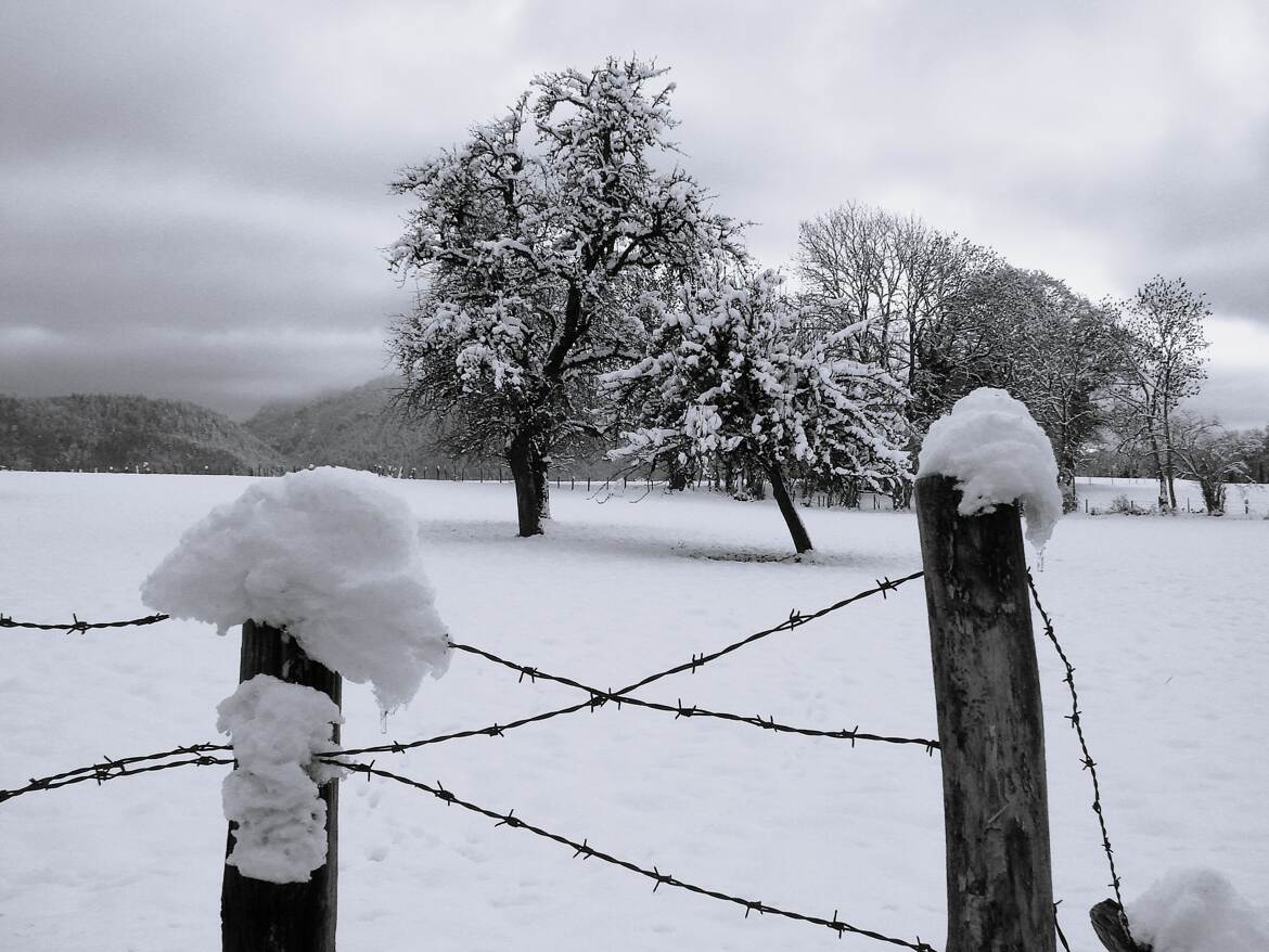 Froid encore plus piquant