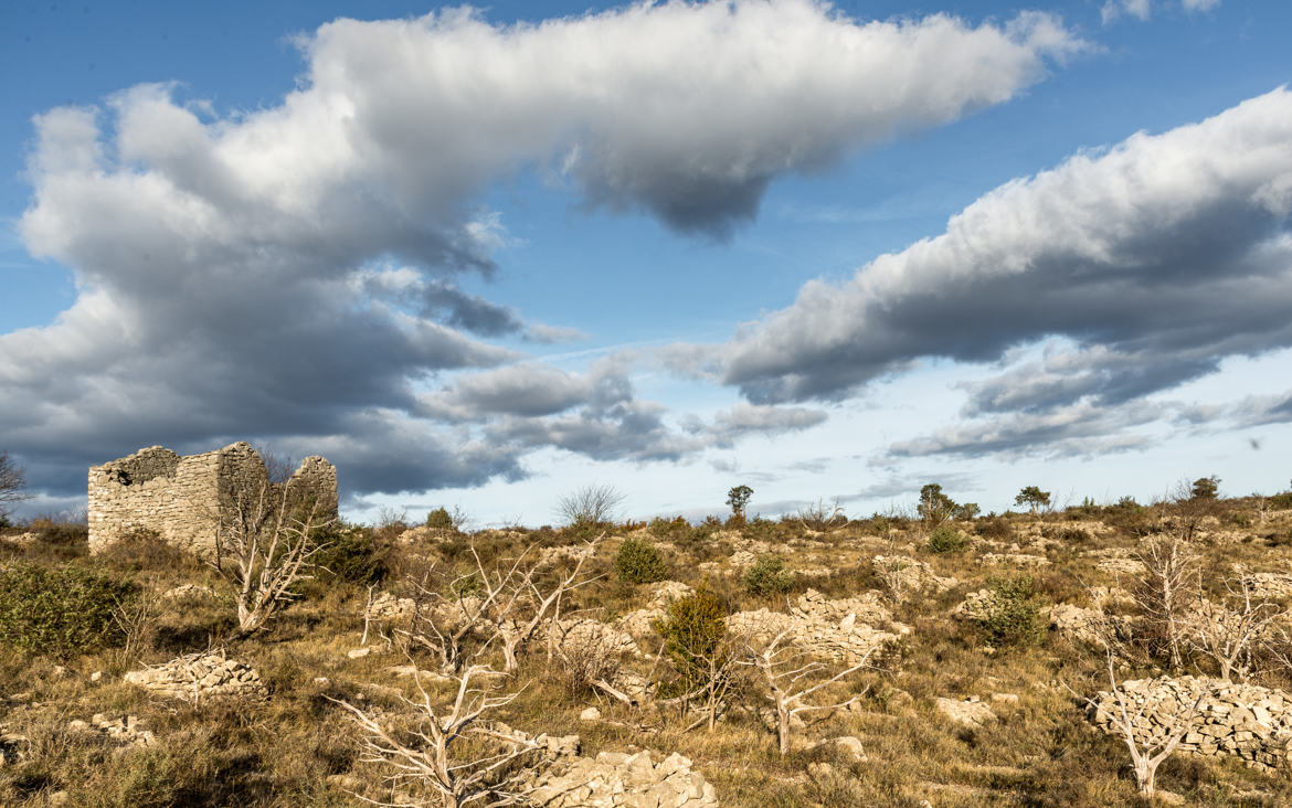 Garrigues