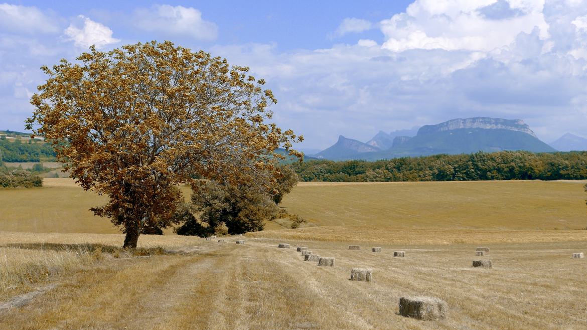 Automne sur la Drôme