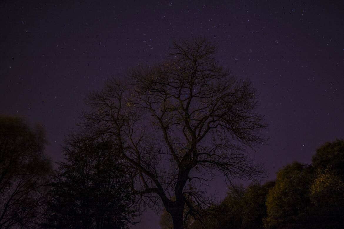 la nuit des étoiles