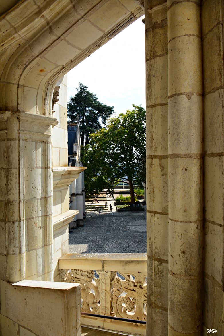 Château de Blois 4