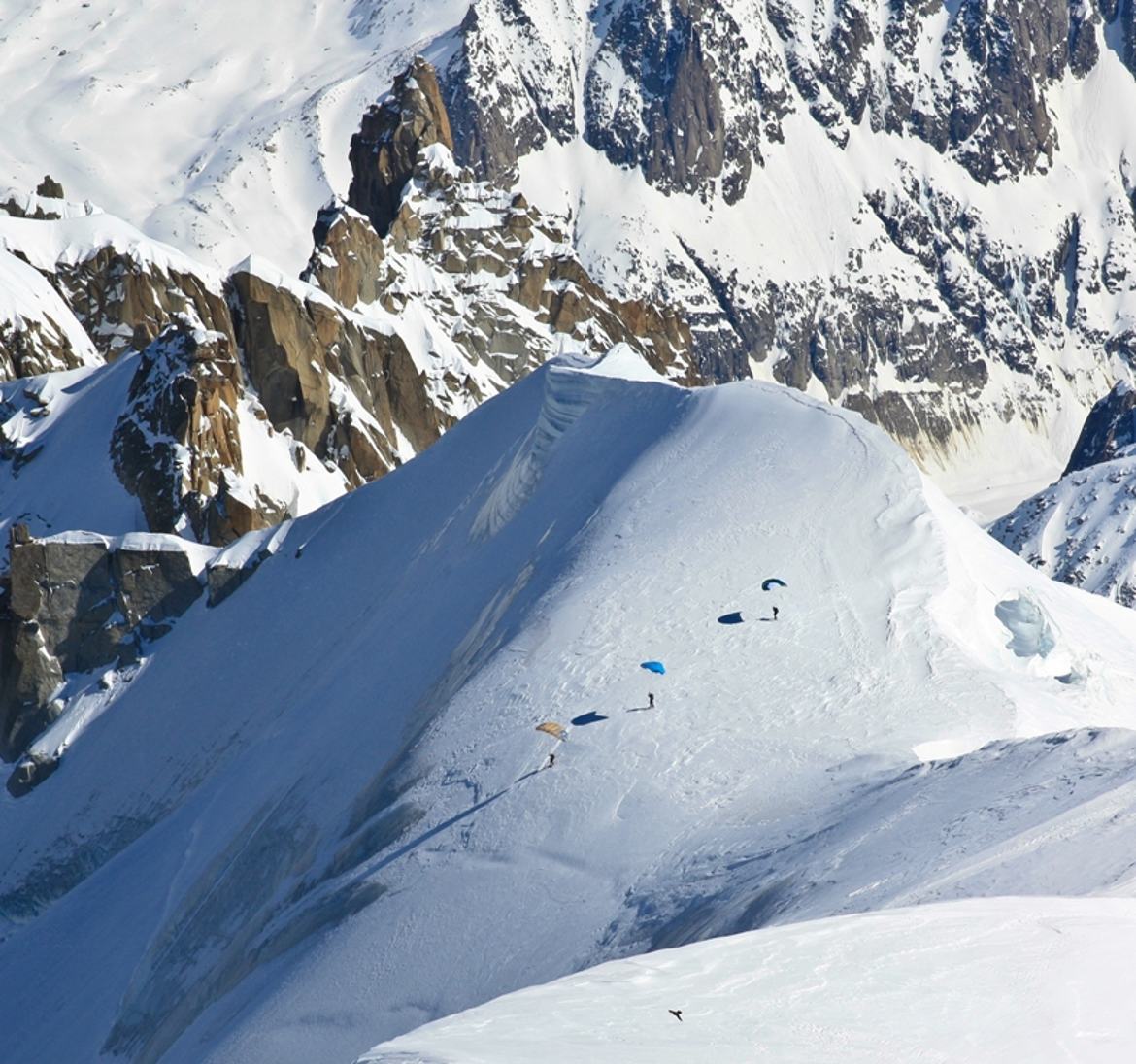 des ailes dans la neige