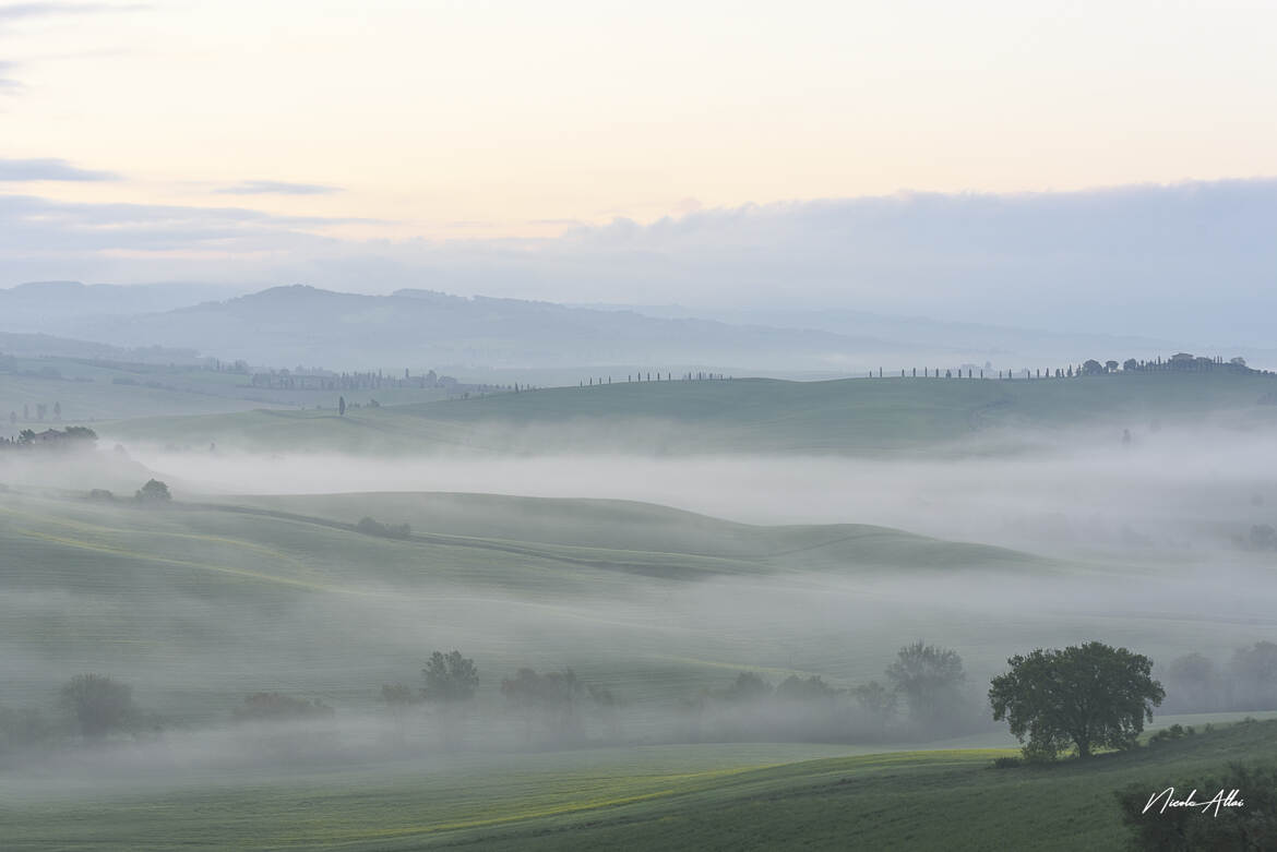 Au petit matin ...