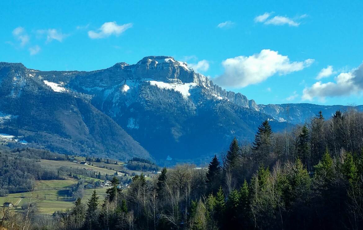 Paysage montagnard