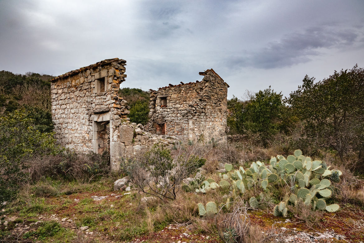 La ruine