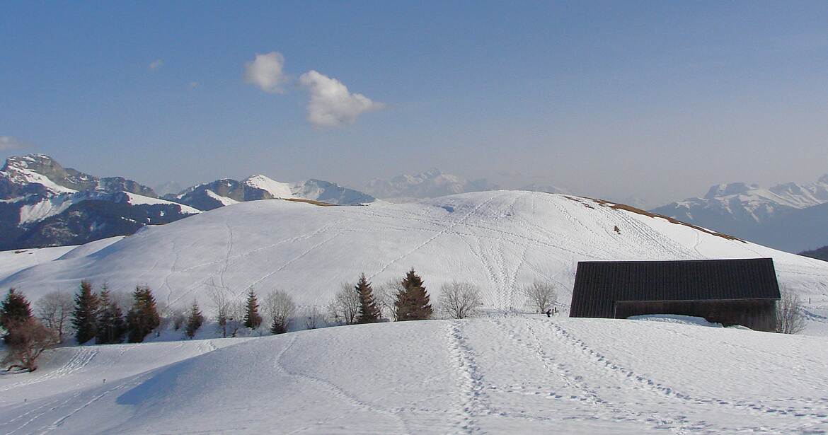 Tout droit pour le M.B