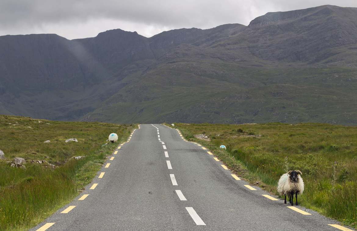 Route du Connemara