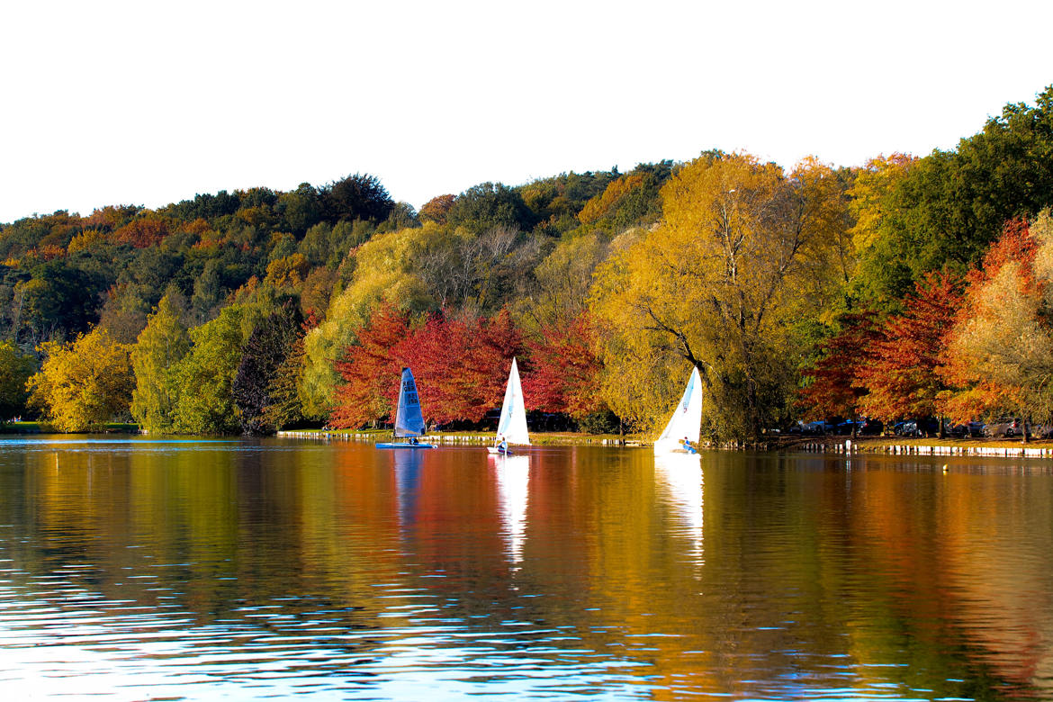 Au bord du lac