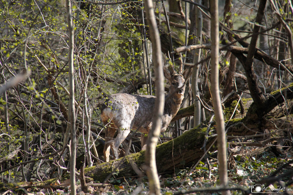 Rencontre fortuite