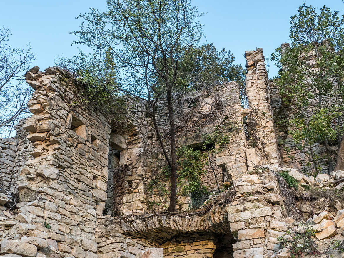 Jardin intérieur