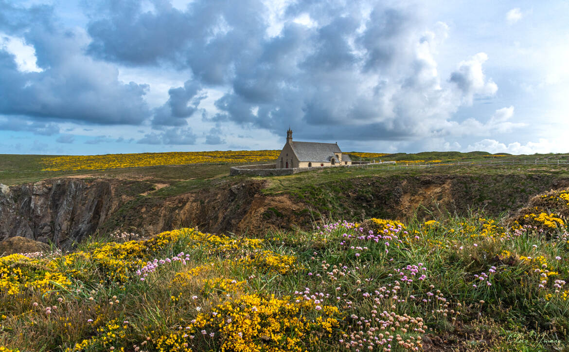 Fleurs de Chapelle