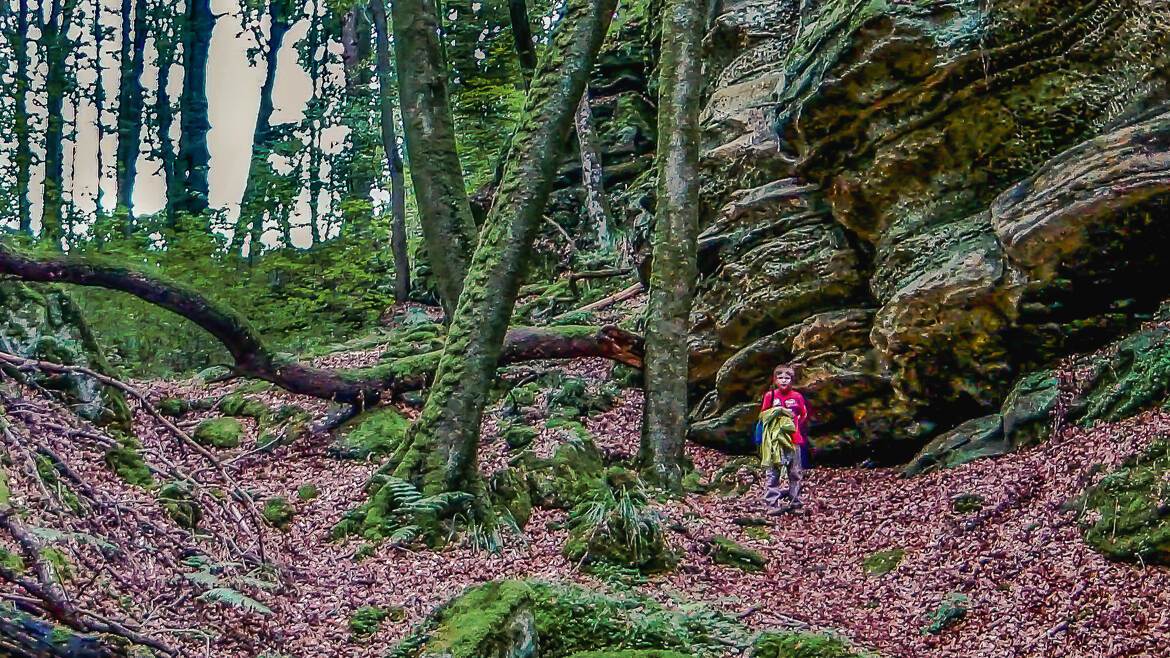 Le petit chaperon rouge est retrouvé