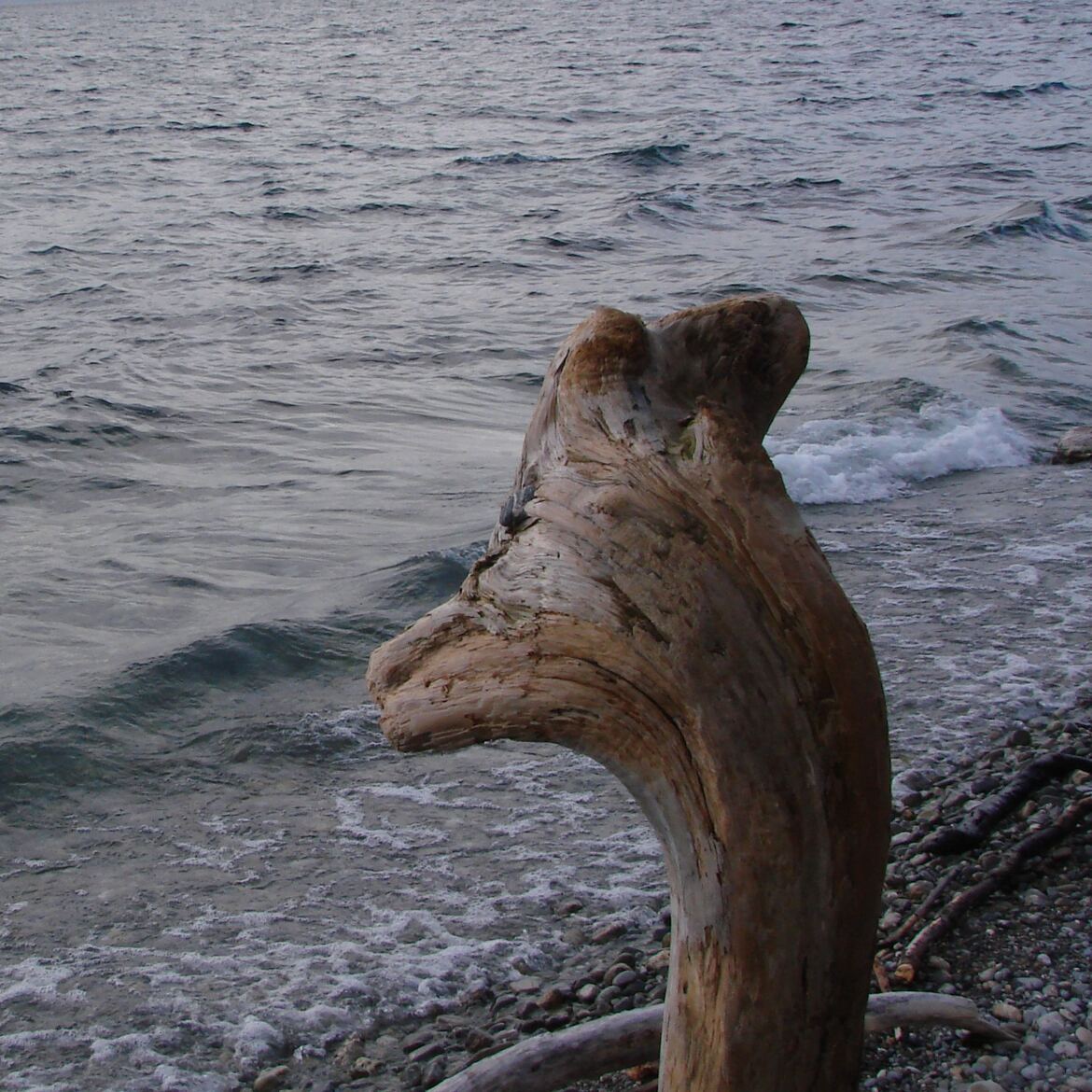 il existe, le monstre du Loch Ness