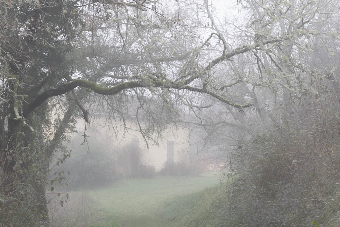 Brouillard de novembre