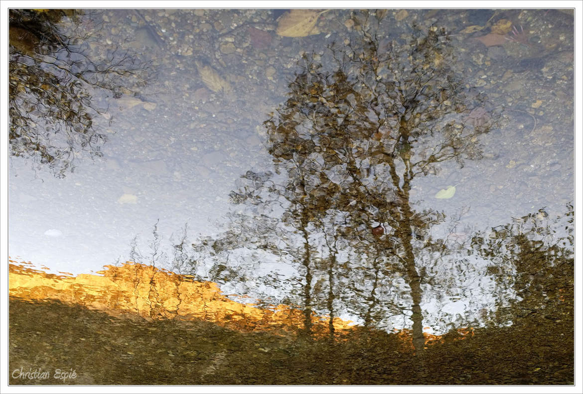 Reflet automnal