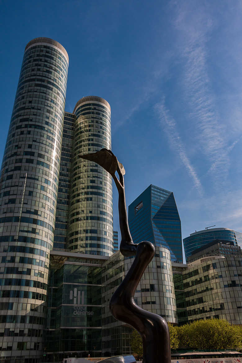 l'arbre qui veut croître plus haut que les tours