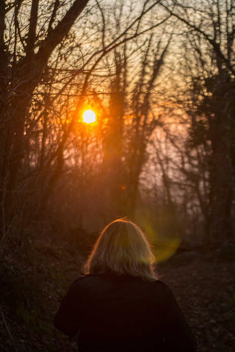 Balade en forêt