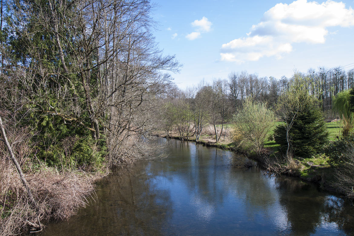 L'augronne