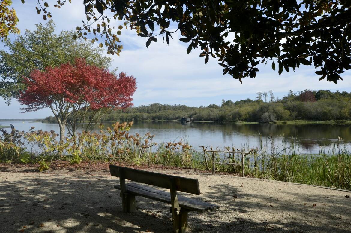 Bon pour la méditation.