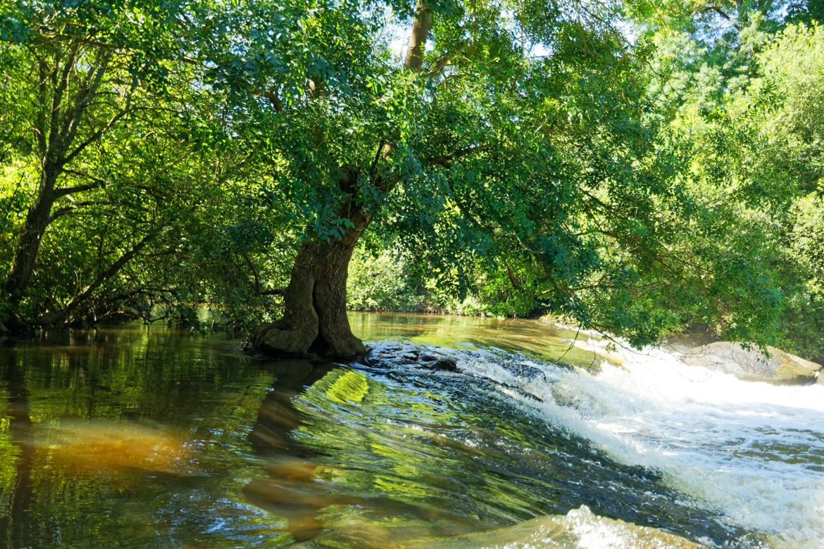 Les pieds dans l'eau V2