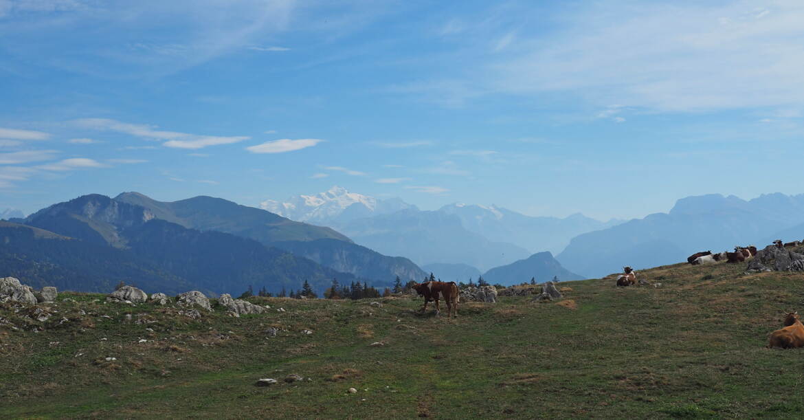 Profitons du paysage