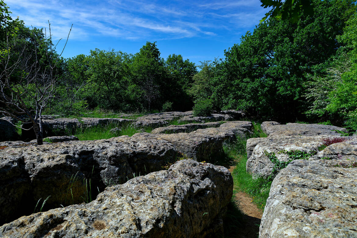 Le labyrinthe vert de Nébias
