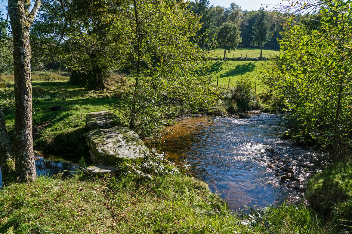 Pont planche