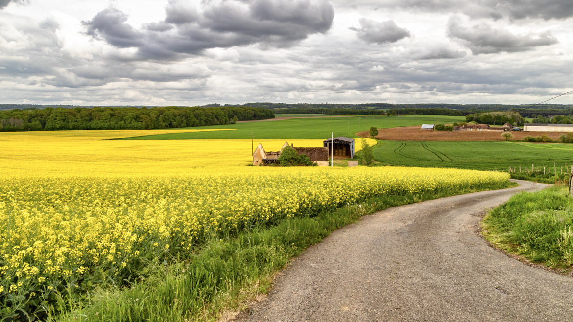 Chemin de campagne