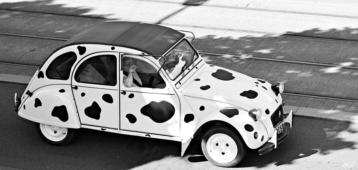 2 CV peau de vache
