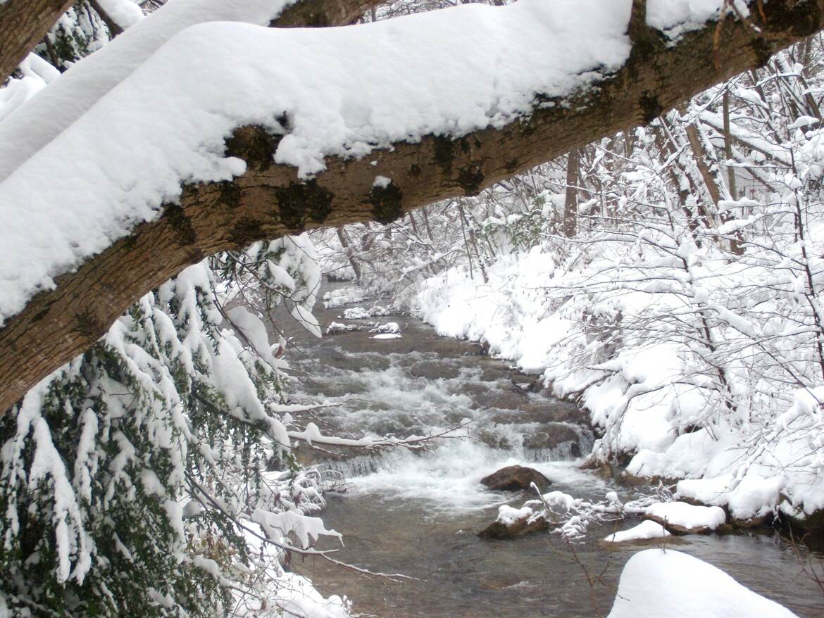 Promenande entre rivière et neige.