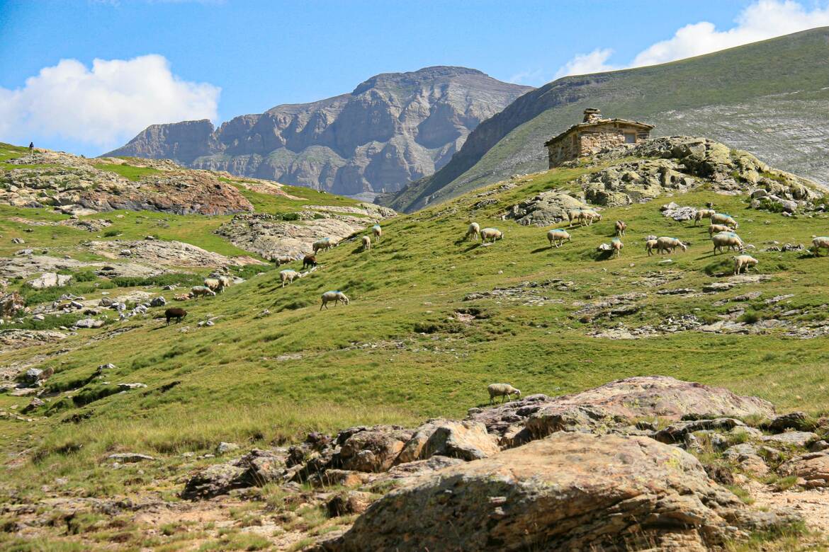 Archives pyrénéennes : près du cirque de Troumouse