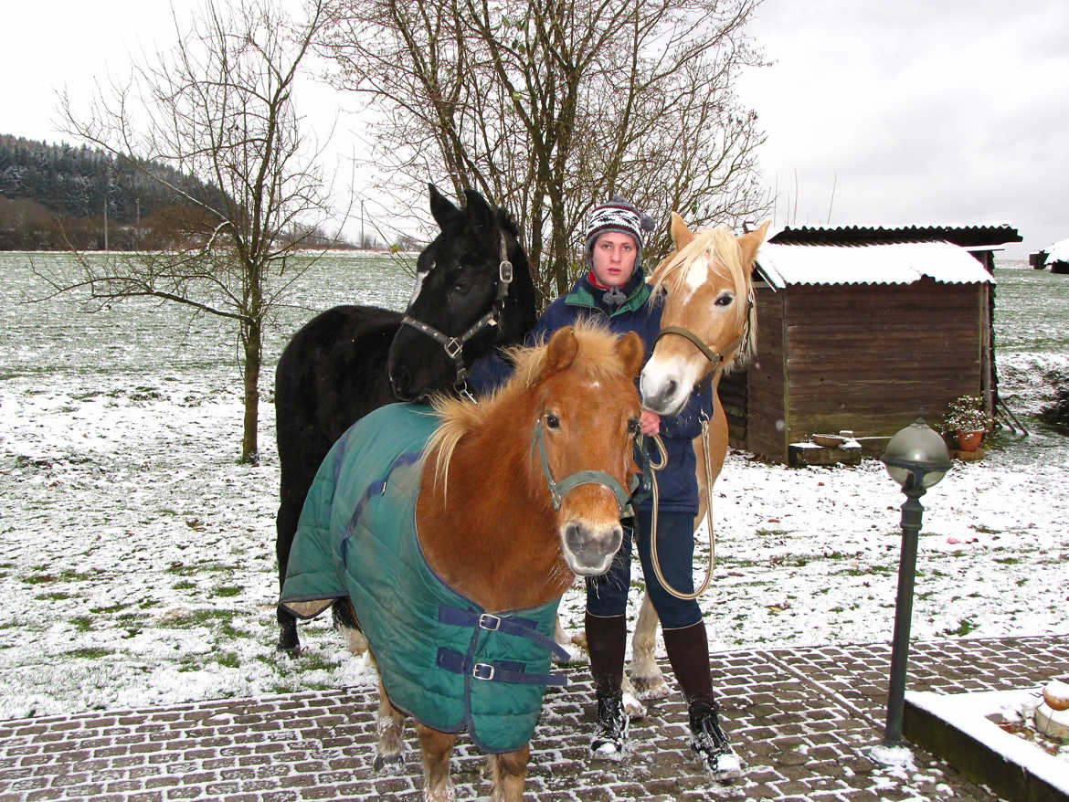 Clo et ses chevaux