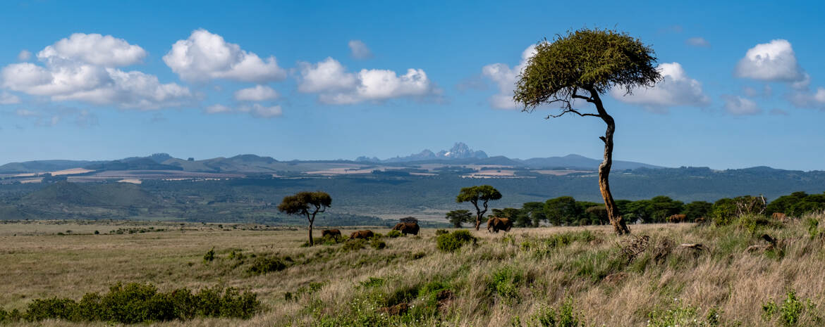 Le Mont Kenya