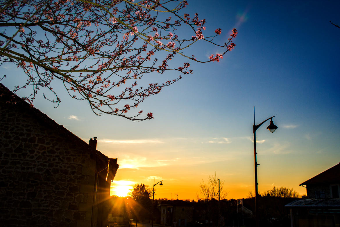 enfin le printemps