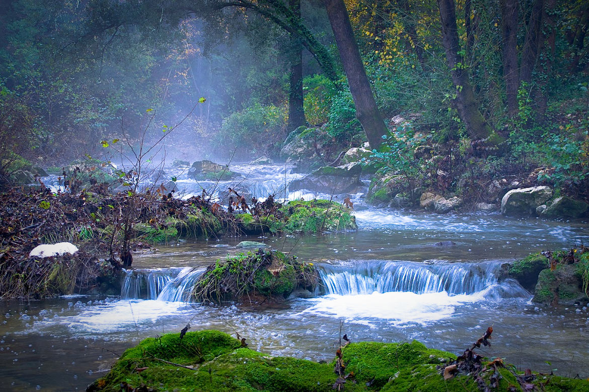 Sentier de La Brague à BIOT