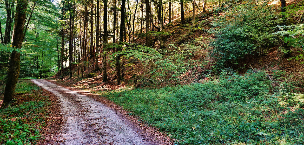 Sentier jurassien
