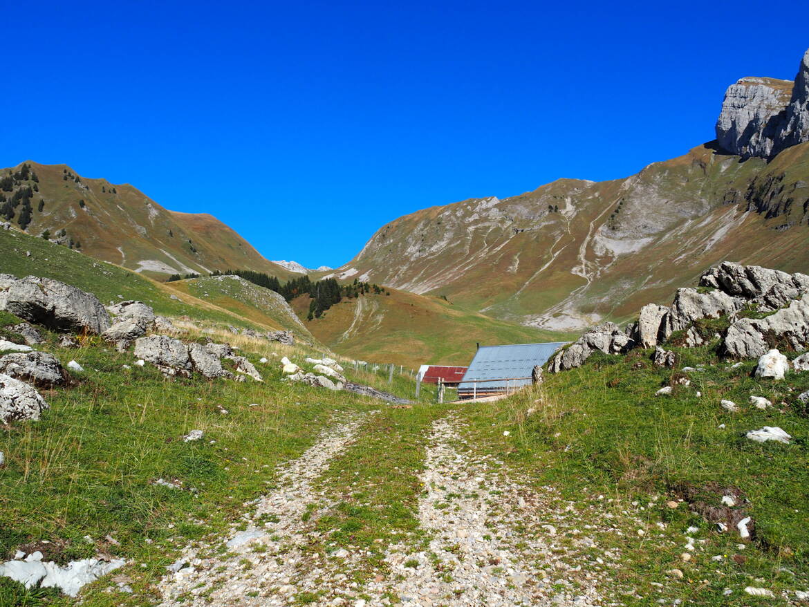 Espace ressource